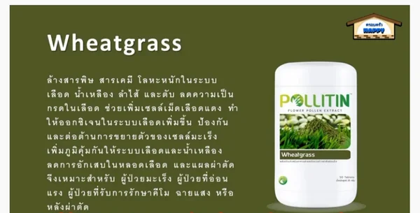 Wheatgrass image 1 Wheatgrass image 1