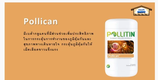 Pollican image 1