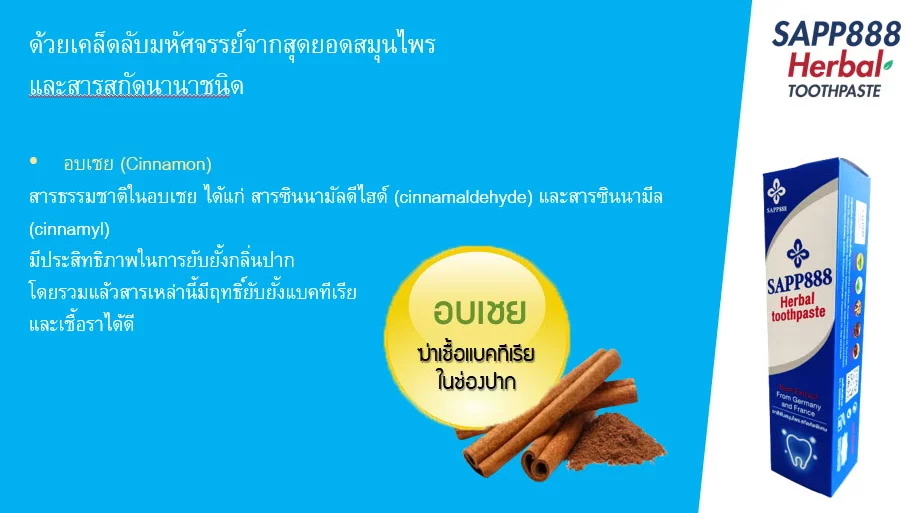 SAPP888 Herbal Toothpaste ยาสีฟัน สมุนไพร ลดคราบหินปูน ลดกลิ่นปาก